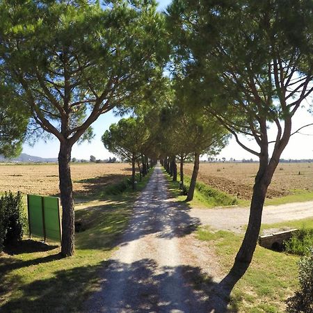 Villa Terra Di Cortona Exterior foto