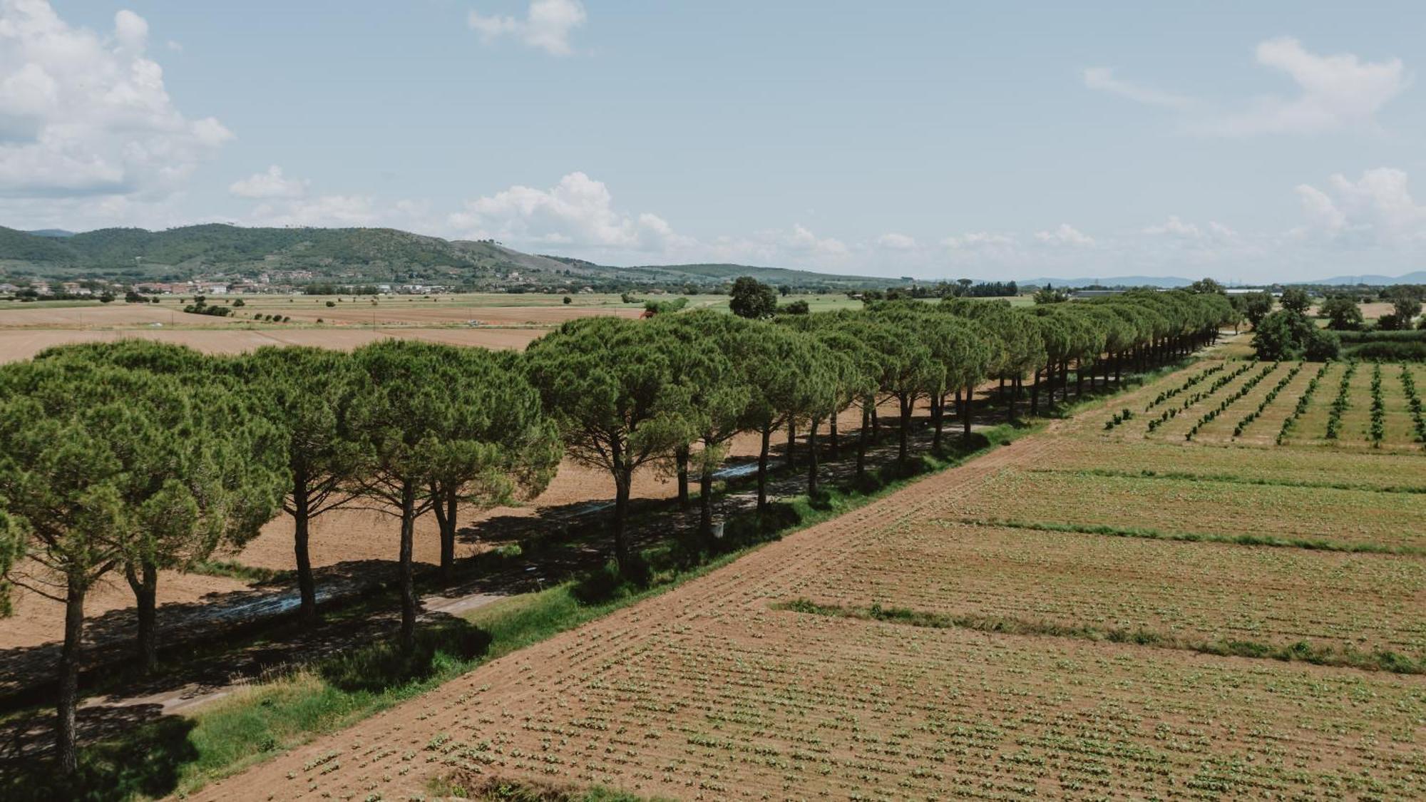 Villa Terra Di Cortona Exterior foto