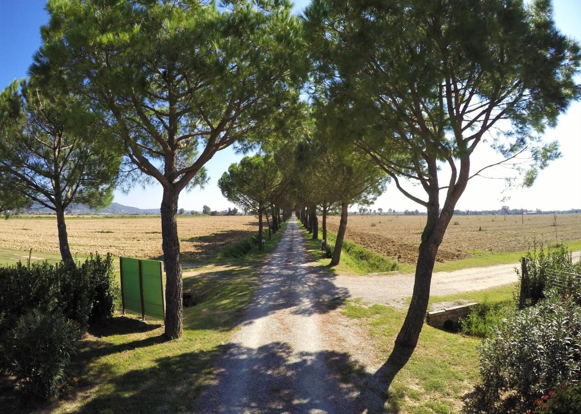 Villa Terra Di Cortona Exterior foto
